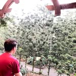 Nich - @nikolaskeys_ - Instagram
