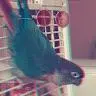 Nicholas Knapp - @_nickknapp - TikTok