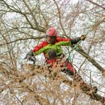 Nikolas Kochino - Facebook