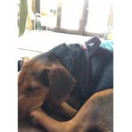 Nikolas Lawson - Facebook