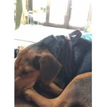 Nikolas Lawson - @nml68771234 - Instagram