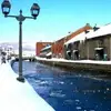 Nikolas Lee - @nikolas.lee6 - TikTok