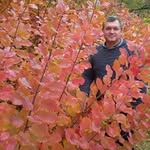 nikolas lee - @nikolas1576 - Instagram