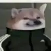 Nikolas - @nikolasleonardo5 - TikTok