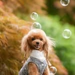 Nikolas Margaritis - @margaritis.nikolas - Instagram