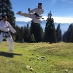 Nikolas_Michael - @nicolas_taekwondo_trainer - Instagram
