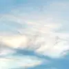Nikolas Miller - @nikolas.miller - TikTok