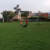 Nikolas Morales - @nikolas.morales4 - TikTok