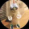 ¶NÎČÔLÂS ♣ - @nikolas.morales36 - TikTok