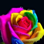 Nicholas Morgan - Facebook