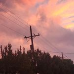 Nikolas page - @nikolas_page_ - Instagram