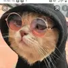 Nickolas Peralta - @lordofpoggers - TikTok