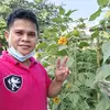 Nikolas Peralta321 - @nikolasperalta2 - TikTok