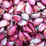 Nicholas Peterson - @growinggarlic - Instagram