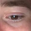 Nikolas Petropoulos - @nikolaspetropoulo - TikTok