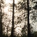 Nicholas Powell - @n_powtry - Instagram