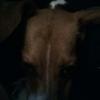 nickolas.price - @nickolas.price - TikTok