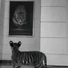nikolas__00 - @nikolas.ramirez00 - TikTok