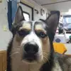Nickolas Raymond - @nickolas.raymond - TikTok