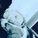 Nikolas - @nikolas_robbins88 - Instagram