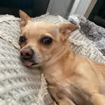 Nikolas Roberts - @tuckers.world.2018 - Instagram