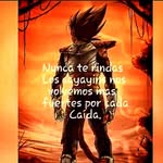 Nikolas Salinas - @s.a.l.i.n.a.s_ - Instagram
