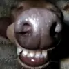 @nikolas_sarris - @user7811315232698 - TikTok