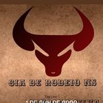 Nikolas Silva Teodoro - @ciaderodeions - Instagram