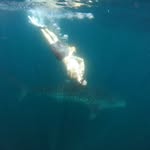 Nikolas Simpson - @nikclmt - Instagram