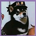 Nikolas Soto - @nikolassoto77 - Instagram