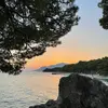 nikolas - @nikolasturner7 - TikTok
