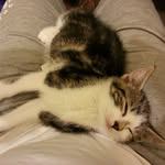 Nikolas Tyler - @nik_nak_noo_ - Instagram