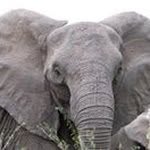 Nikolas Waller - @nikolaswaller - Instagram