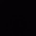 Nikolas Whitehead - @nikolas.whitehead - Instagram