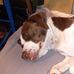 Nicholas Wilcox - Facebook