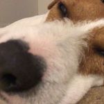 Nikolas Juric Williams - @niko6553428_1 - Instagram