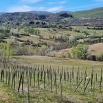 nikolas wine - @nikolas_wine - Instagram