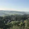 nikolas77yang - @nikolas77yang - TikTok