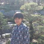 Nikolas Yang - Facebook