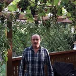 Nikolaus Hoffmann - @nikolaus.hoffmann - Instagram
