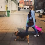 Nikolina Antić - @nikolinaantic - Instagram
