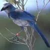 nilahnorman - @nilahnorman - TikTok