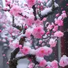 নীল আকাশের তারা - @nilay.kumar2 - TikTok