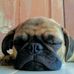 Nilda Aviles - Facebook