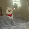 Nilda Garza - @nildagarza9 - TikTok