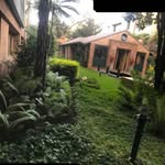 Nilda Guzman - @nildaguzman761 - Instagram