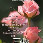 Nilda Herrera - @nilda.herrera.7169 - Instagram