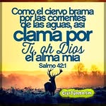 nilda herrera - @nildaherrera1530 - Instagram