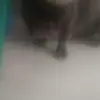 nilda herrera - @nilda.herrera7 - TikTok