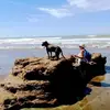 Nilda Mora - @nilda.mora1 - TikTok